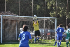 FC_Steckholz_044