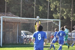 FC_Steckholz_045