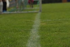 IMG-20240629-WA0017