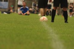 IMG-20240629-WA0091