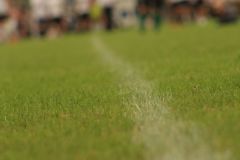 IMG-20240629-WA0093